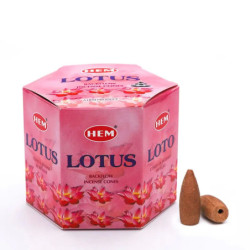 Conuri parfumate Hem Lotus Backﬂow Cone Hem 40 buc  | Ventani importator Hem India